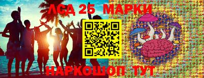 Альфа ПВП Жуковский
