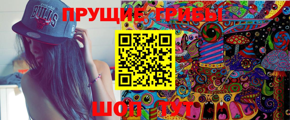 Галлюциногенные грибы Psilocybine cubensis Миллерово