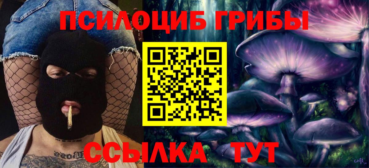 Галлюциногенные грибы Psilocybe  Вход с VPN  Миллерово  Псилоцибиновые грибы ЛСД 